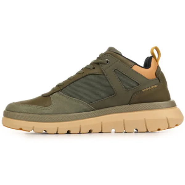 Palladium Pallaflex Lo Mix Groen, vergelijk prijzen bij 1 winkel