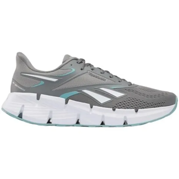 Reebok Zig Dynamica 6 Grijs, vergelijk prijzen bij 1 winkel