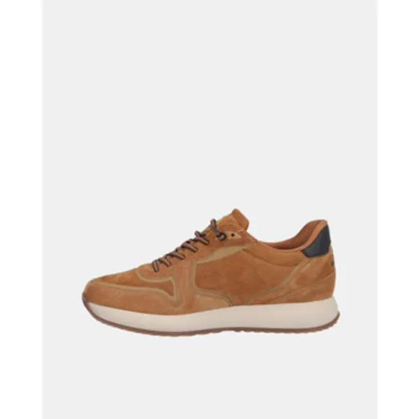 Kangaroos 1221 3 Bruin, vergelijk prijzen bij 1 winkel