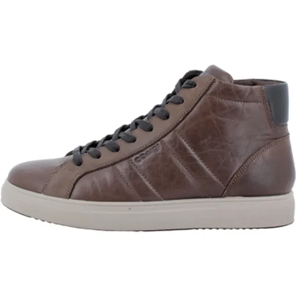 IGI&Co Lage Sneakers Bruin, vergelijk prijzen bij 1 winkel