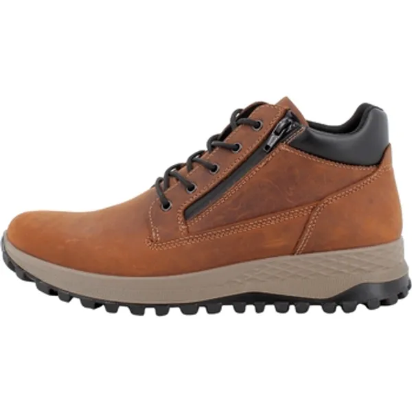 IGI&Co Lage Sneakers Bruin, vergelijk prijzen bij 1 winkel