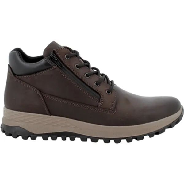IGI&Co Lage Sneakers Bruin, vergelijk prijzen bij 1 winkel