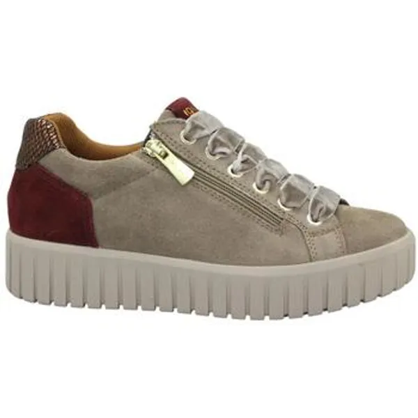 IGI&Co Igi-I26-FA Beige, vergelijk prijzen bij 1 winkel