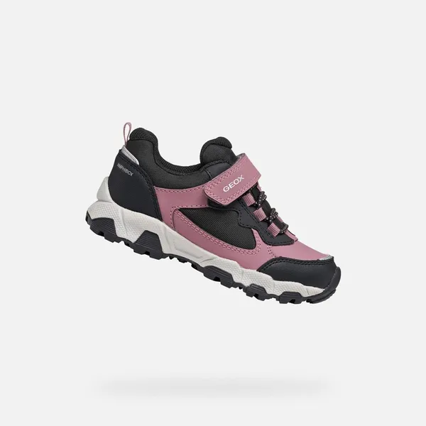 Geox Roze/Donkerzwart, vergelijk prijzen bij 1 winkel