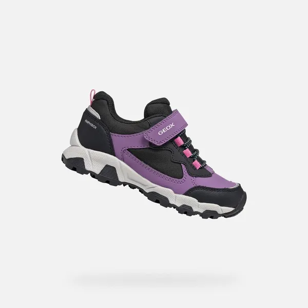 Geox Sneakers Paars/Zwart, vergelijk prijzen bij 1 winkel
