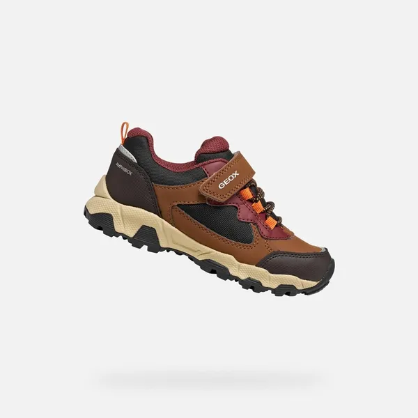 Geox Sneakers Bruin/Bordeaux, vergelijk prijzen bij 1 winkel