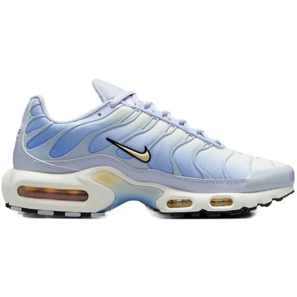 Nike Air Max Plus Daybreak Blauw, vergelijk prijzen bij 1 winkel