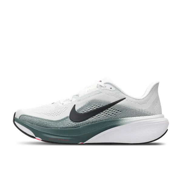 Nike Pegasus Air Zoom, vergelijk prijzen bij 2 winkels