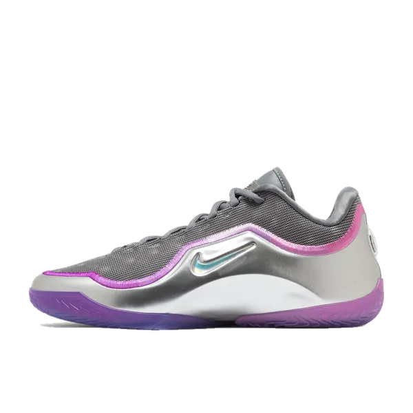 Nike LeBron Grijs, vergelijk prijzen bij 2 winkels