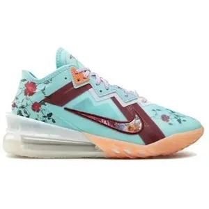 Nike LeBron overige kleuren