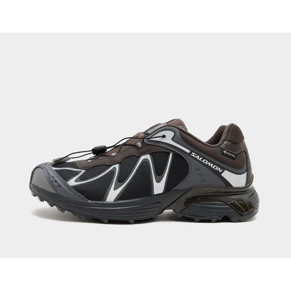 Salomon XT-Whisper GORE-TEX Bruin, vergelijk prijzen bij 1 winkel
