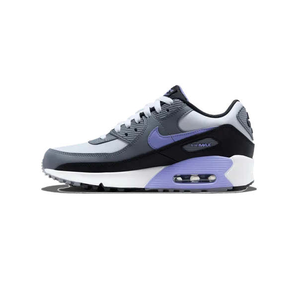 Nike Air Max 90 Leather Light Thistle (GS), vergelijk prijzen bij 1 winkel