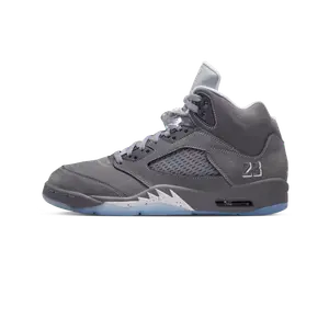 Air Jordan 5 grijs