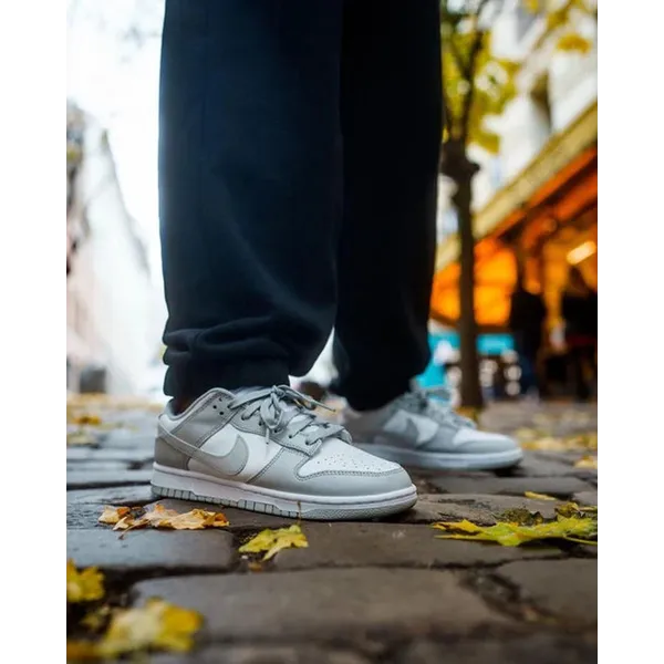 Nike Dunk Low Grey Fog, vergelijk prijzen bij 1 winkel
