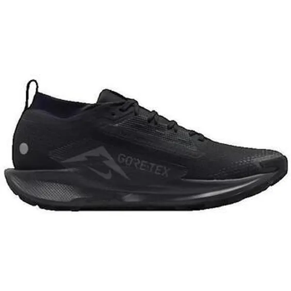 Nike Pegasus Trail 5 GORE-TEX Zwart, vergelijk prijzen bij 1 winkel