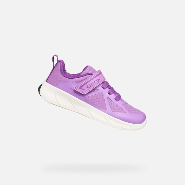 Geox Sneakers, vergelijk prijzen bij 1 winkel