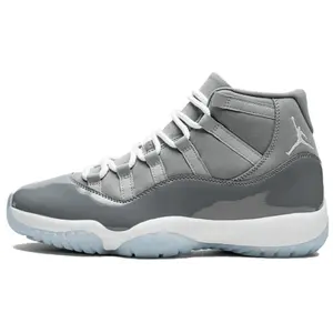 Air Jordan 11 grijs