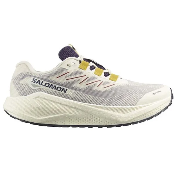 Salomon Aero Blaze 3 Grvl GTX Vanila/Astra, vergelijk prijzen bij 1 winkel