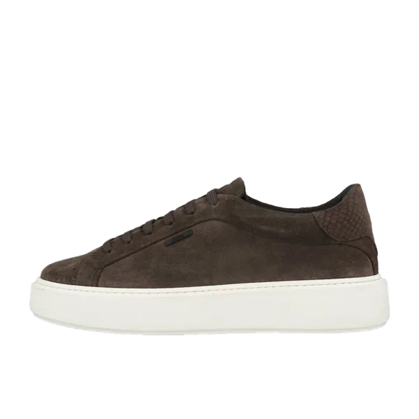 Antony Morato 9073 Bruin, vergelijk prijzen bij 1 winkel