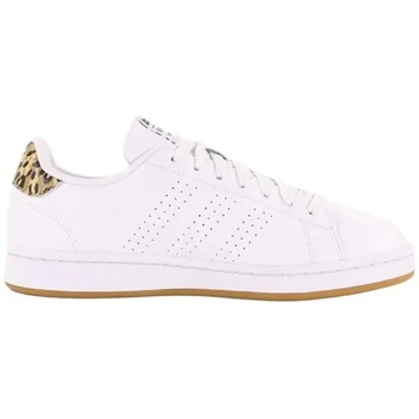 adidas Advantage Wit, vergelijk prijzen bij 1 winkel