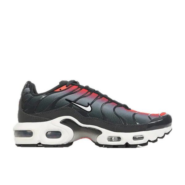 Nike Air Max Plus Grijs, vergelijk prijzen bij 1 winkel