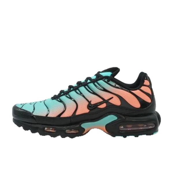 Nike Air Max Plus Blauw, vergelijk prijzen bij 1 winkel