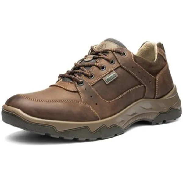 Ara Lage Sneakers Bruin, vergelijk prijzen bij 1 winkel