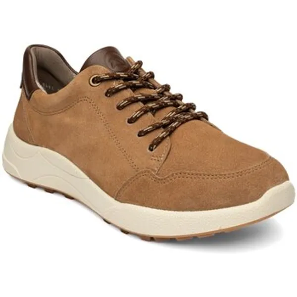 Ara Lage Sneakers Bruin, vergelijk prijzen bij 1 winkel