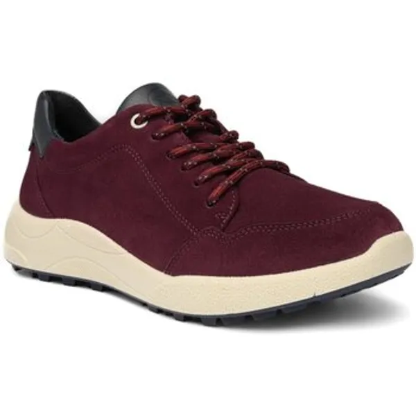 Ara Lage Sneakers Rood, vergelijk prijzen bij 1 winkel