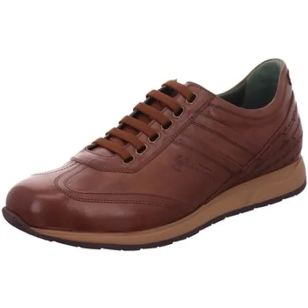 Galizio Torresi Lage Sneakers Bruin, vergelijk prijzen bij 1 winkel