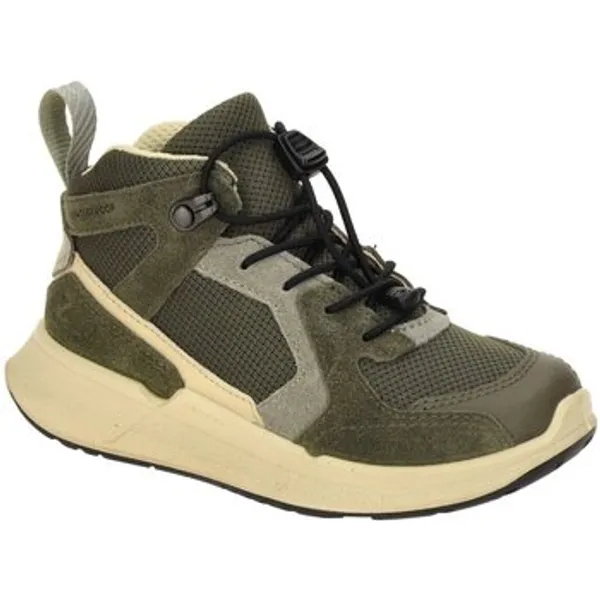 ECCO Hoge Sneakers Groen, vergelijk prijzen bij 1 winkel