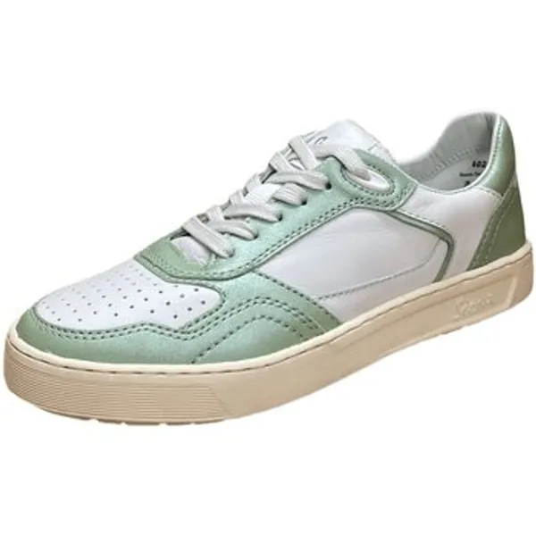 Sioux Sneakers Groen, vergelijk prijzen bij 1 winkel