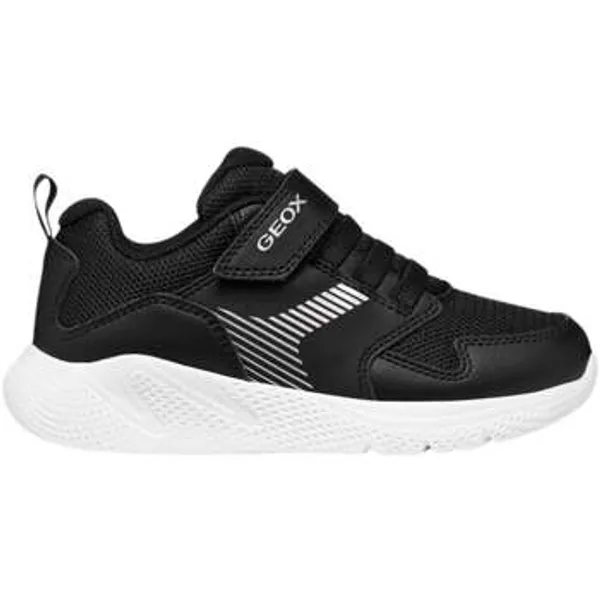 Geox Lage Sneakers Zwart, vergelijk prijzen bij 1 winkel