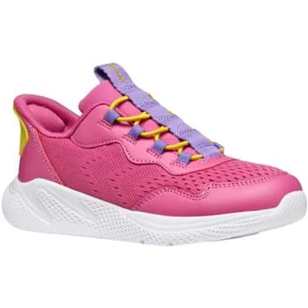 Geox Lage Sneakers Roze, vergelijk prijzen bij 1 winkel
