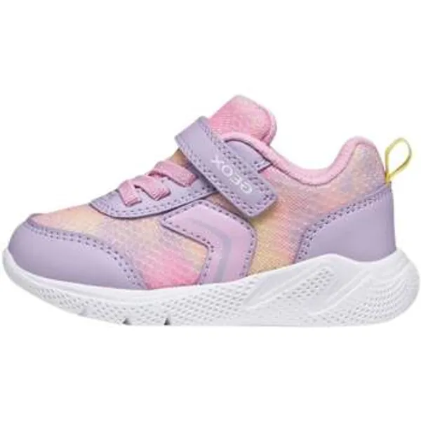 Geox Lage Sneakers Paars, vergelijk prijzen bij 1 winkel