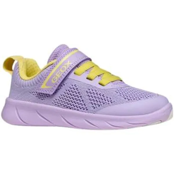 Geox Lage Sneakers Paars, vergelijk prijzen bij 1 winkel