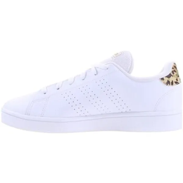adidas Advantage Base Wit, vergelijk prijzen bij 1 winkel