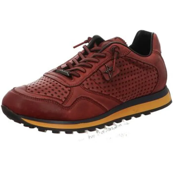 Cetti Sneakers Rood, vergelijk prijzen bij 1 winkel