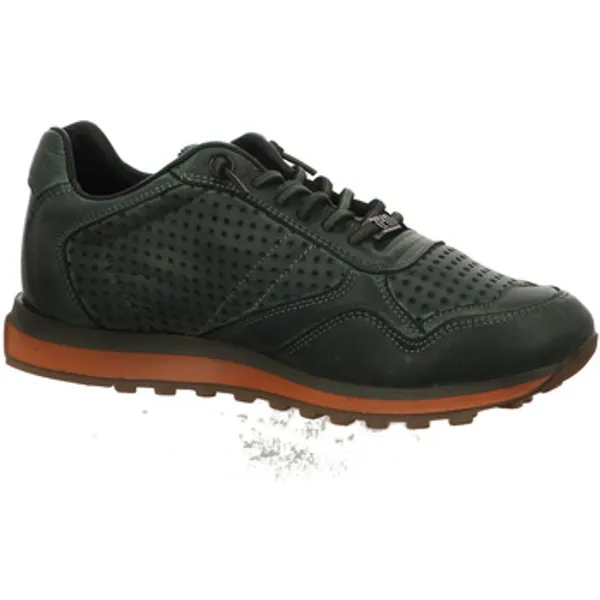 Cetti Sneakers Groen, vergelijk prijzen bij 1 winkel