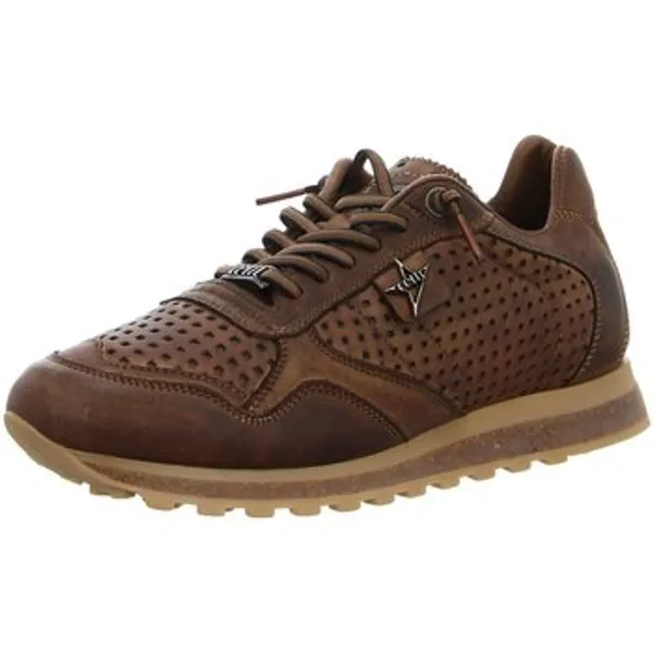 Cetti Sneakers Bruin, vergelijk prijzen bij 1 winkel