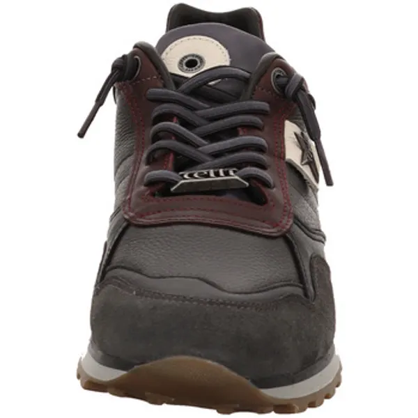 Cetti Sneakers Grijs, vergelijk prijzen bij 1 winkel
