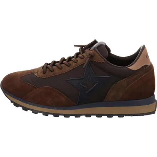 Cetti Sneakers Bruin, vergelijk prijzen bij 1 winkel