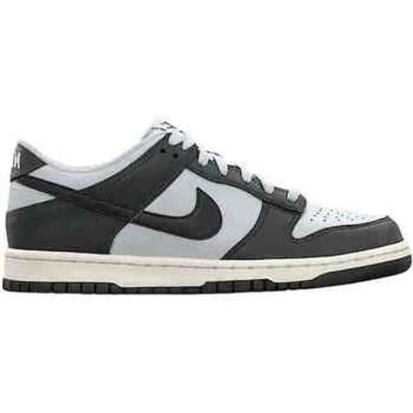 Nike Dunk Low Zwart Kids, vergelijk prijzen bij 1 winkel