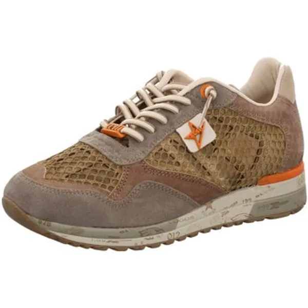 Cetti Lage Sneakers Bruin, vergelijk prijzen bij 1 winkel