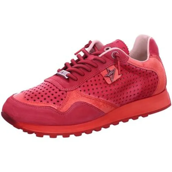 Cetti Lage Sneakers Rood, vergelijk prijzen bij 1 winkel
