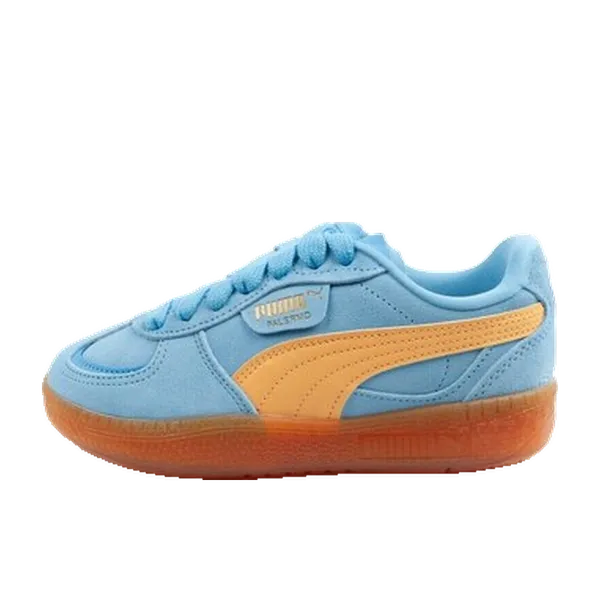 Puma Palermo Blauw, vergelijk prijzen bij 1 winkel