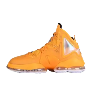 Nike LeBron oranje