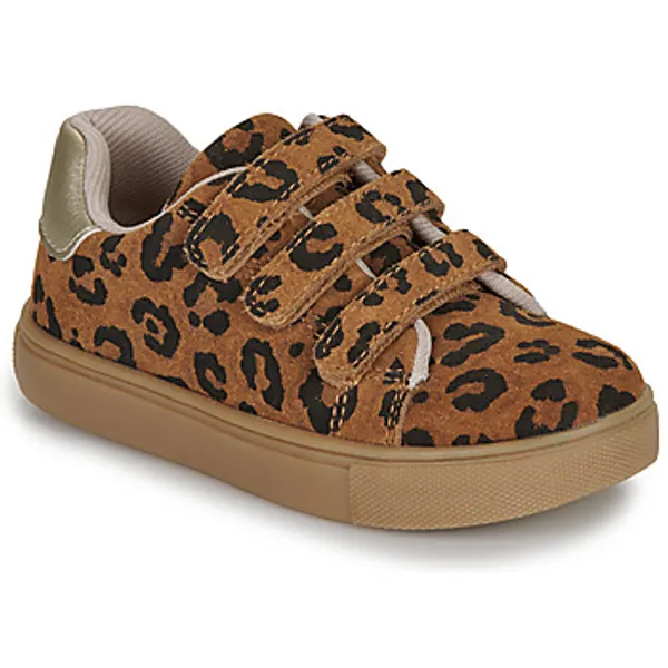 Bonton Basil Scratch Bruin, vergelijk prijzen bij 1 winkel