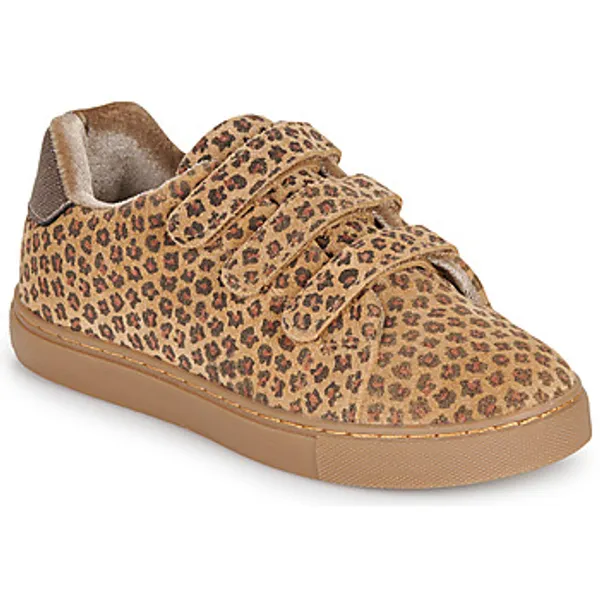 Bonton Basil Scratch Bruin, vergelijk prijzen bij 1 winkel