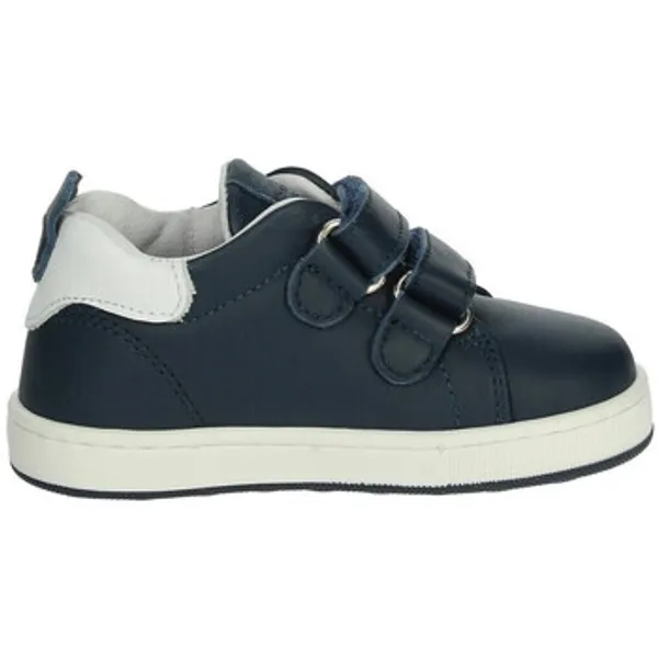 Balducci Sneakers Blauw, vergelijk prijzen bij 1 winkel